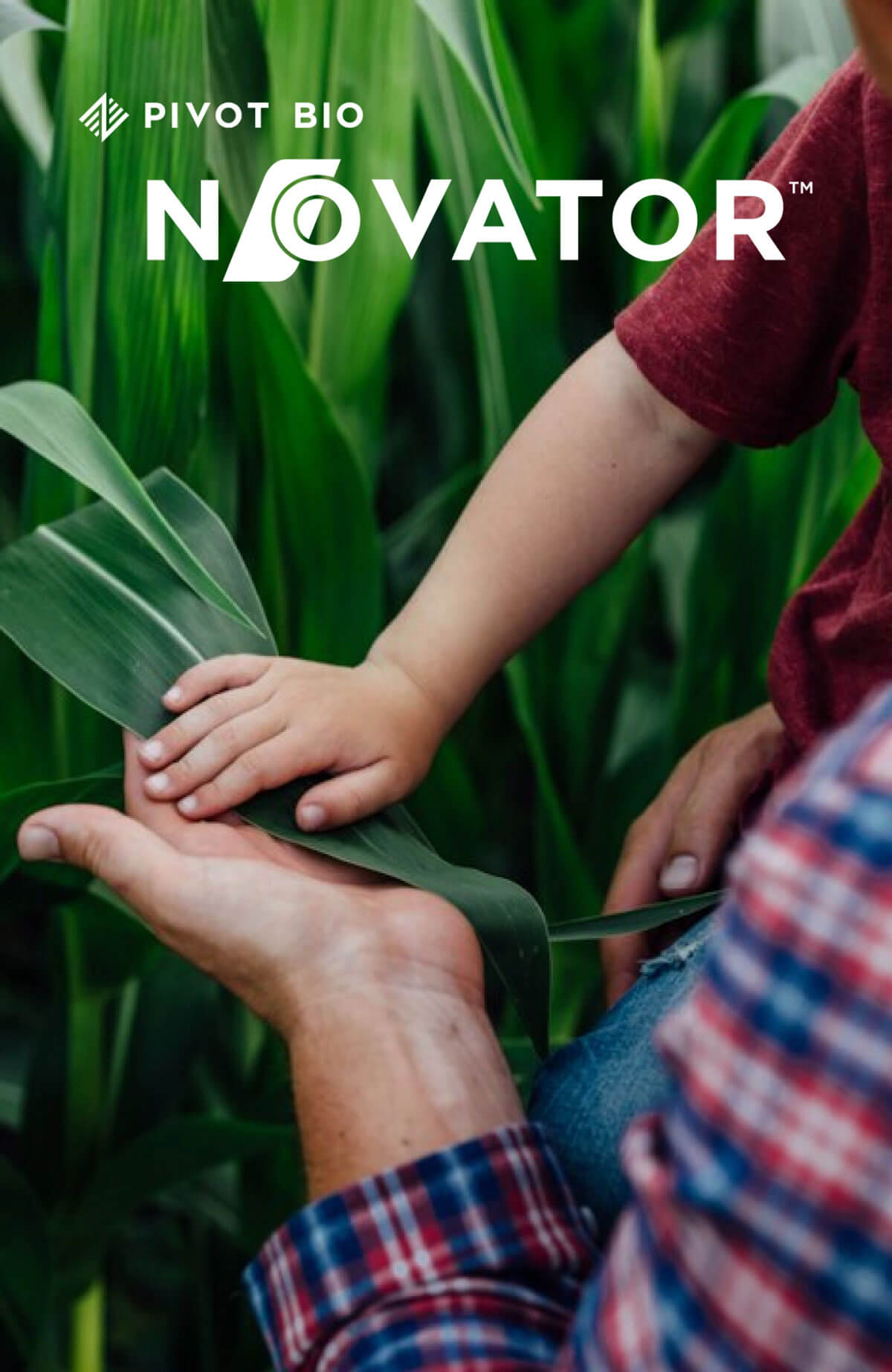 Dad and son touching a corn plant leaf