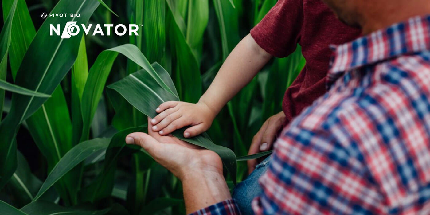 Dad and son touching a corn plant leaf