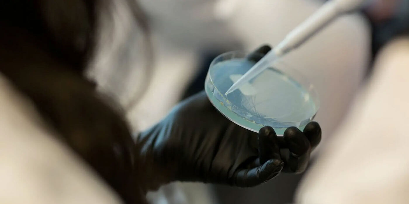 Pivot Bio Scientist Holding Petri Dish for Analysis