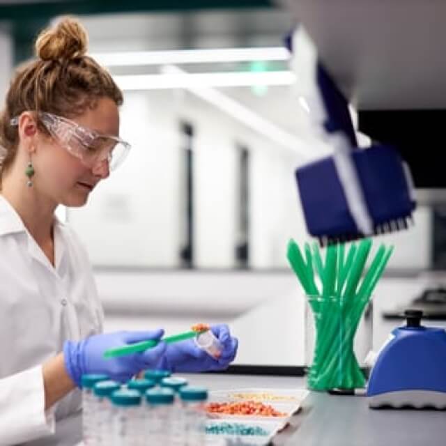 Photo preview of Pivot Bio scientist preparing samples of treated corn seed in Berkeley, CA, lab