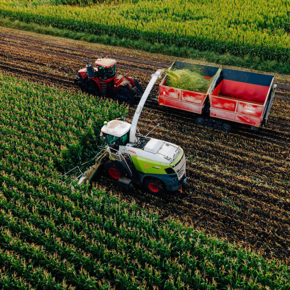 Corn cutter in the field