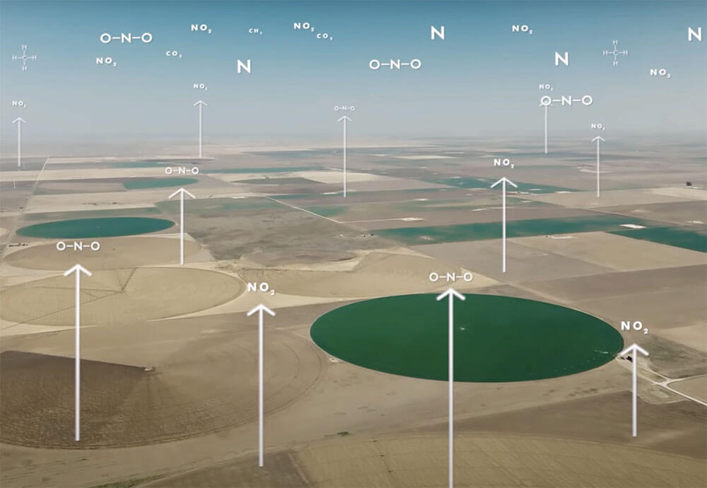 The Cost to Our Environment