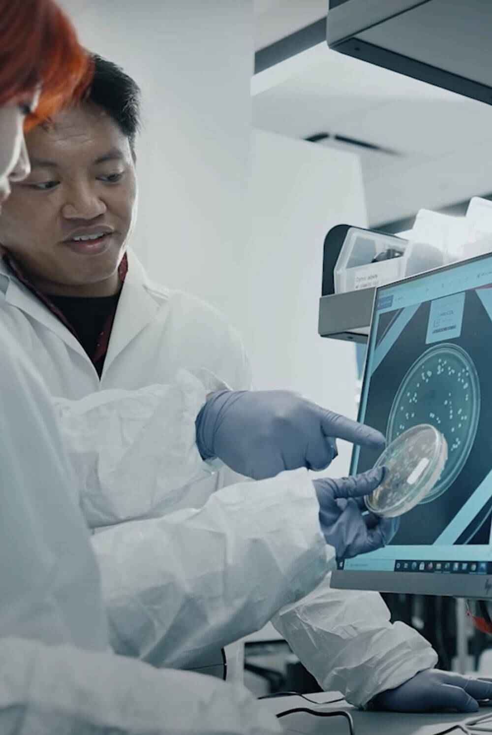 Two Pivot Bio Scientists Analyze Microbes on a Computer in the Lab