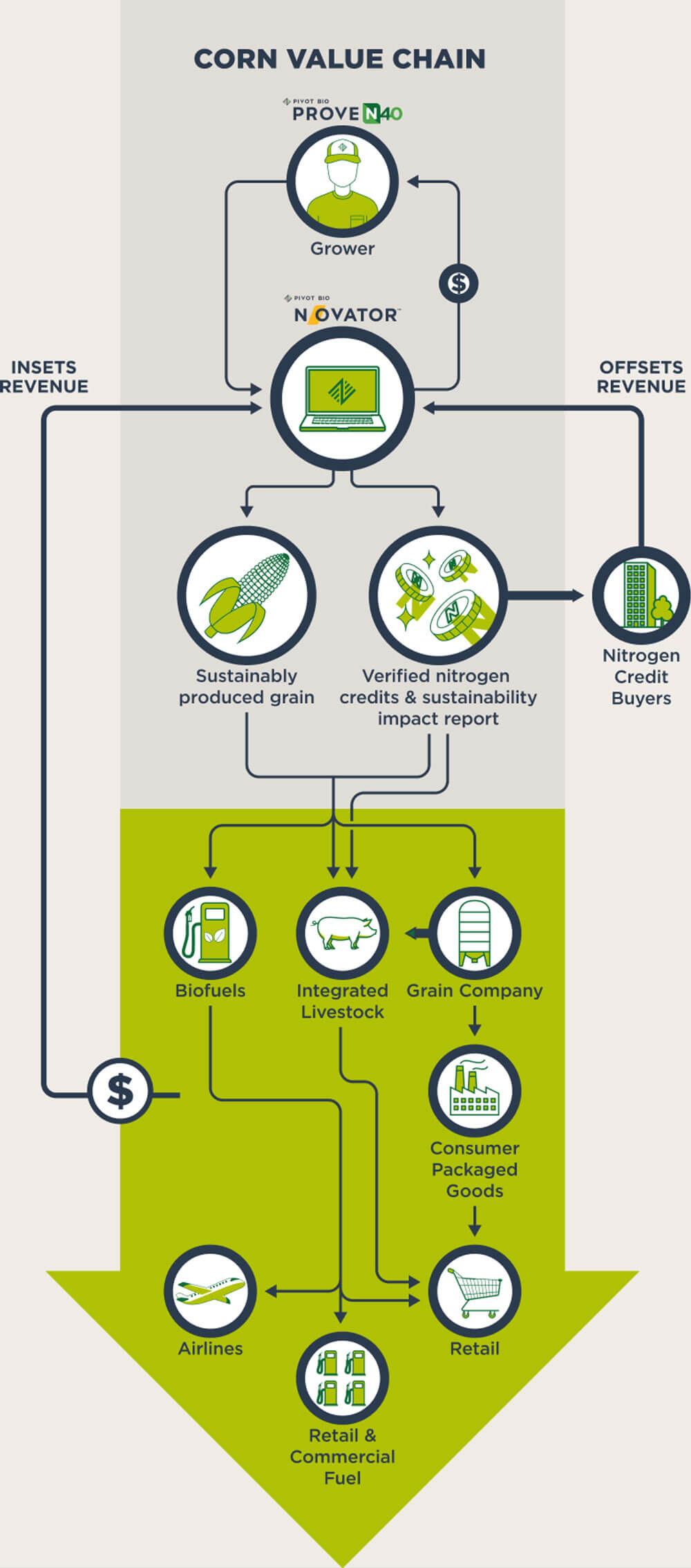 Illustration of the corn value chain