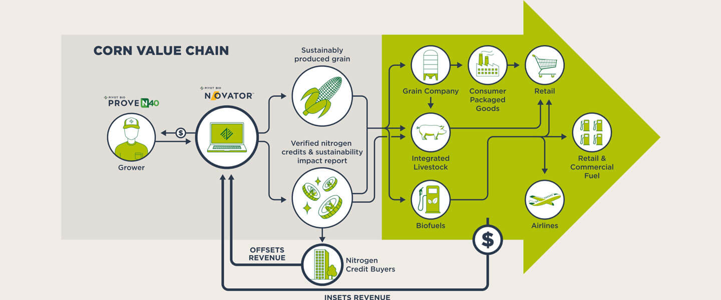 Illustration of the corn value chain