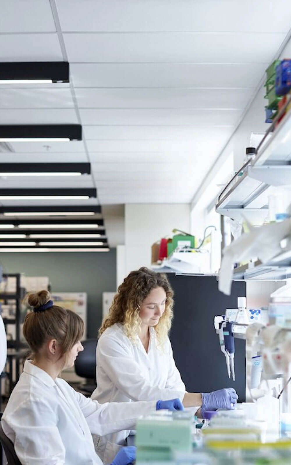 Photo of a variety of Pivot Bio Scientists working in the lab